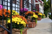 Six Easy Ways to Boost Curb Appeal in Just One Day
