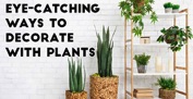Eye-Catching Ways to Decorate with Plants